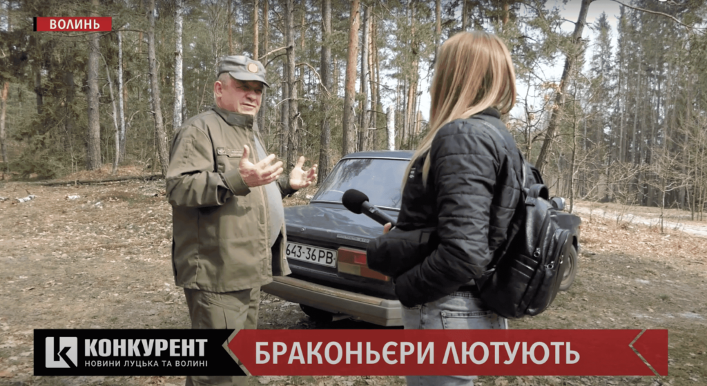 Корець в Маневицькому лісі
