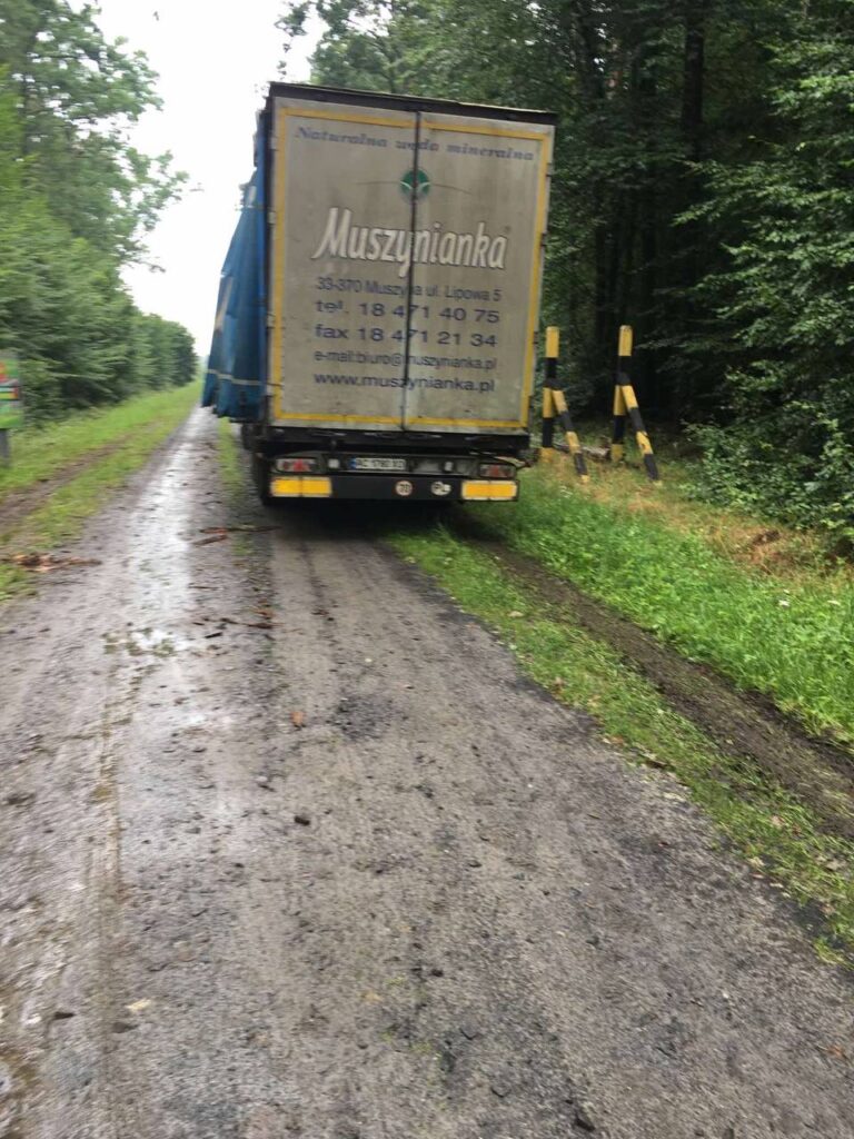 Рубка в Цуманській пущі авто